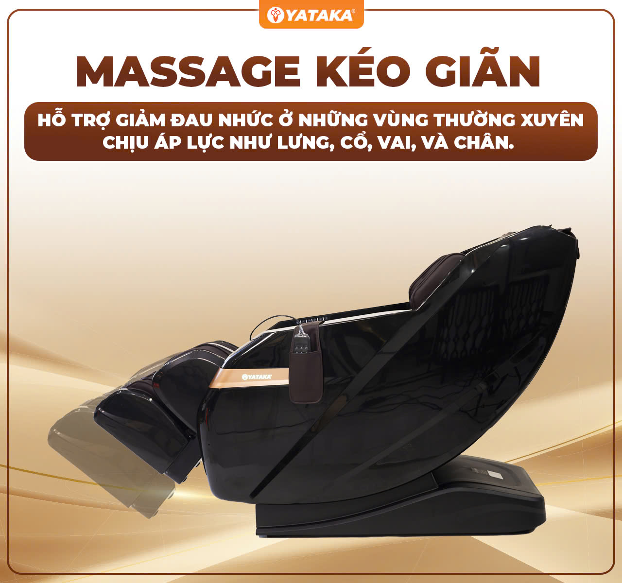 z6101297829313 60c961abc5366b47176cf52dbeb78d21